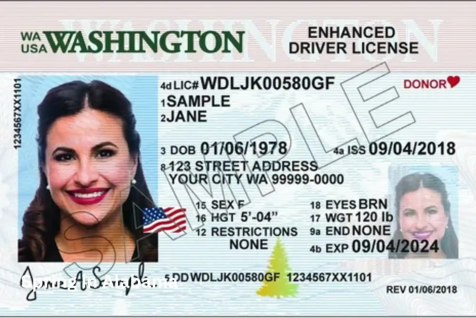 Can I Use Enhanced ID to Fly Domestic USA?