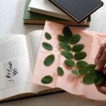 Herbarium JCB Plant Care Guide — Tips & Best Practices