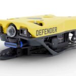 Rovsunes De USA What You Need to Know