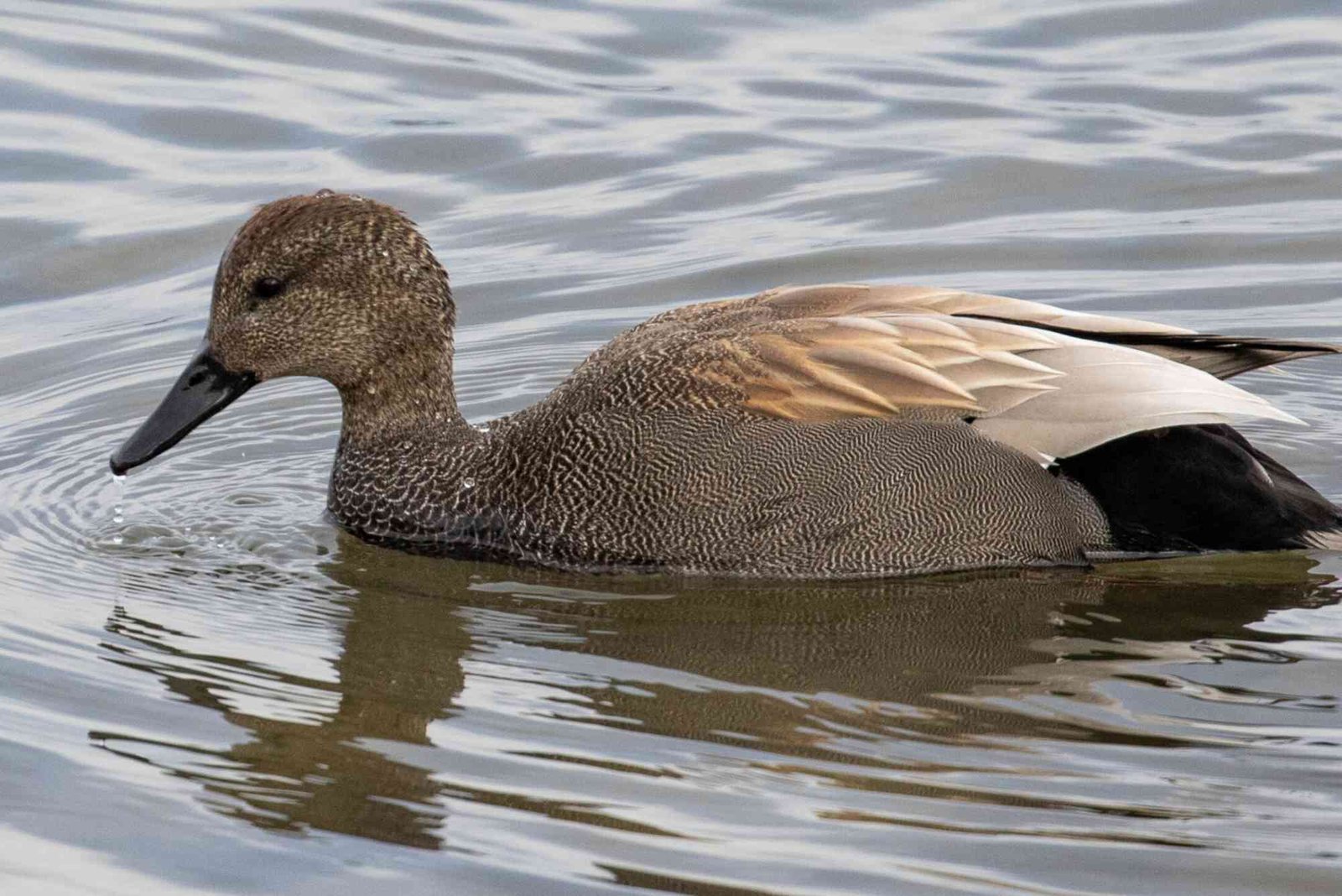 Croton on Hudson to Duck North Carolina by Car — Tips & Best Practices