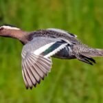 Croton on Hudson to Duck North Carolina by Car — Tips & Best Practices