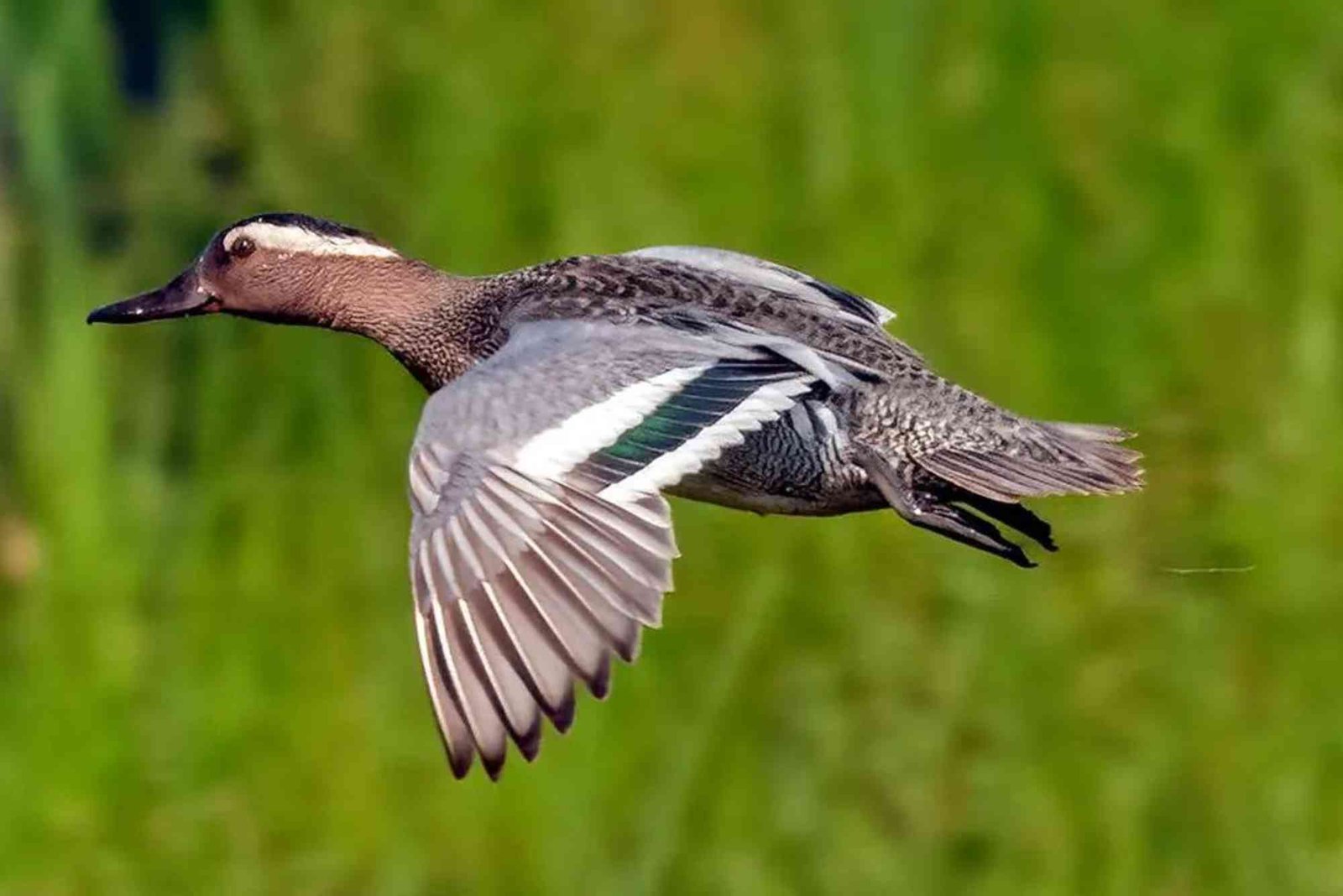 Croton on Hudson to Duck North Carolina by Car — Tips & Best Practices