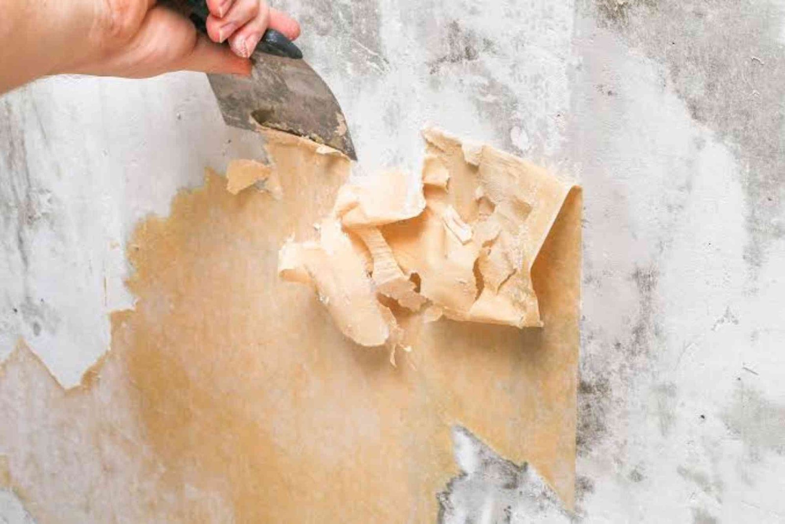 Wallpaper Removal in Oklahoma City